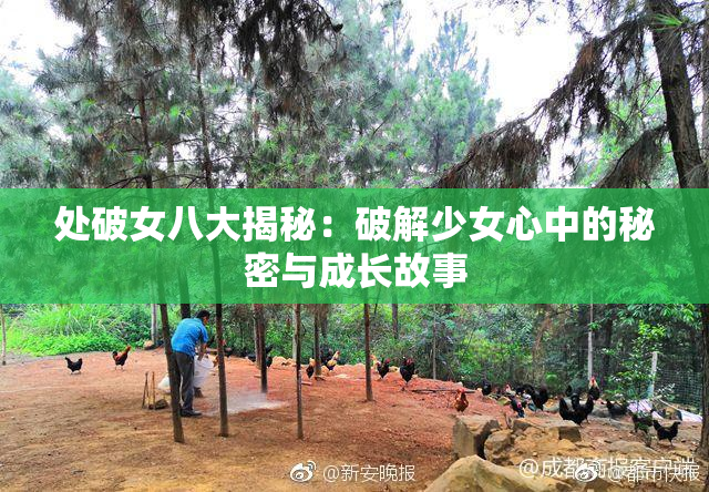 处破女八大揭秘：破解少女心中的秘密与成长故事