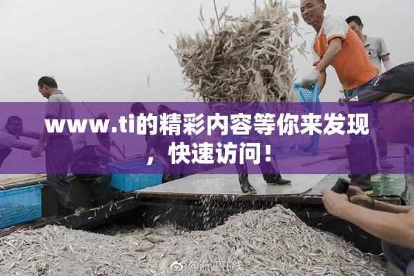 www.ti的精彩内容等你来发现，快速访问！