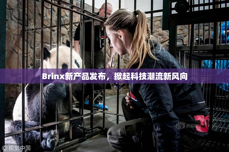 Brinx新产品发布，掀起科技潮流新风向