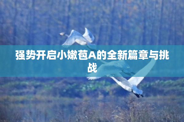 强势开启小嫩苞A的全新篇章与挑战