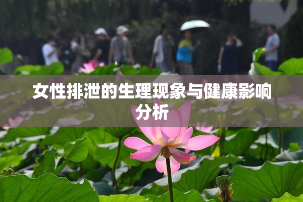 女性排泄的生理现象与健康影响分析