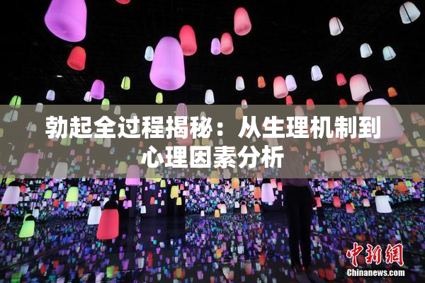 勃起全过程揭秘：从生理机制到心理因素分析