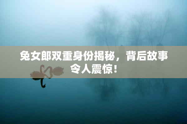 兔女郎双重身份揭秘，背后故事令人震惊！