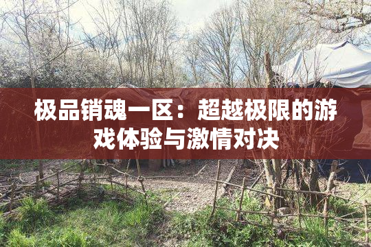 极品销魂一区：超越极限的游戏体验与激情对决