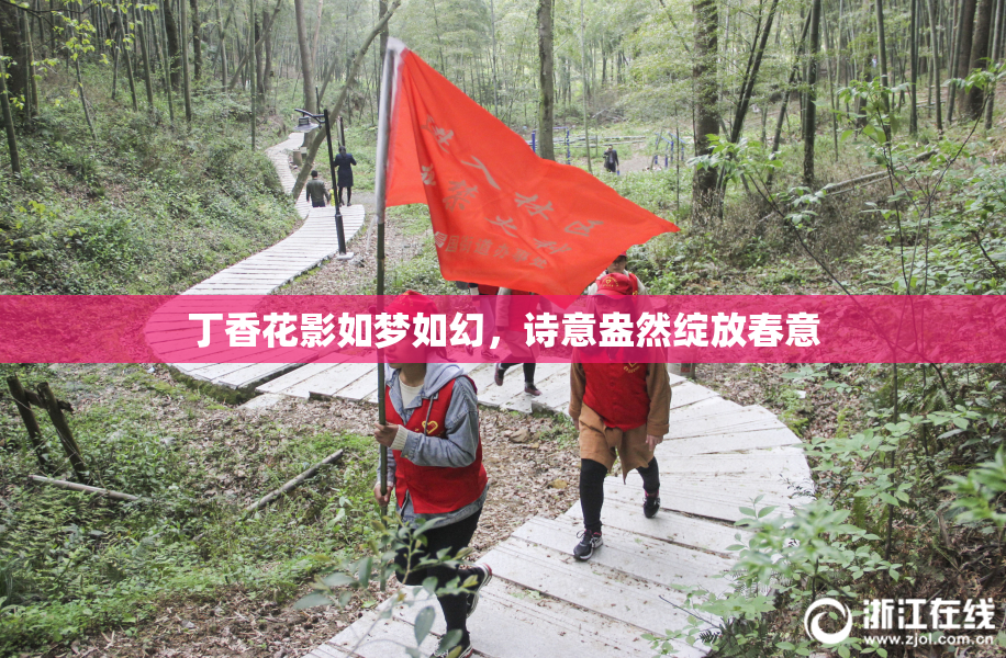丁香花影如梦如幻，诗意盎然绽放春意