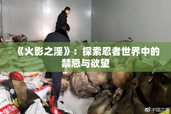 《火影之淫》：探索忍者世界中的禁忌与欲望