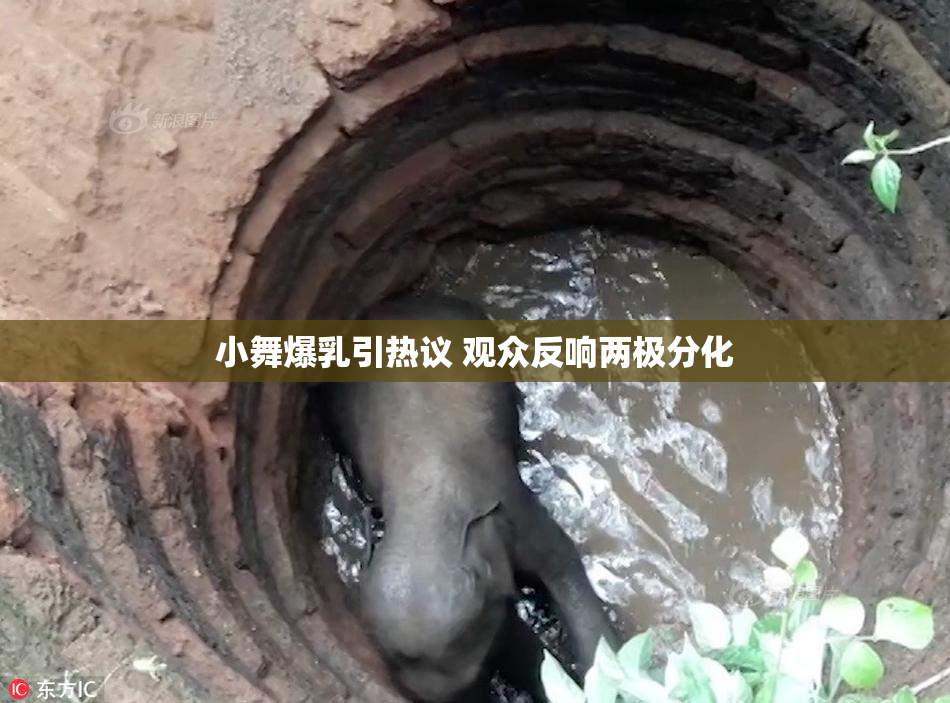 小舞爆乳引热议 观众反响两极分化