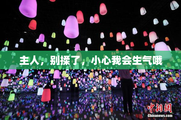 主人，别揉了，小心我会生气哦