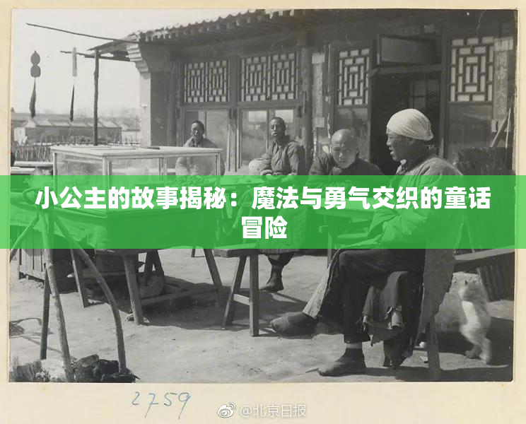 小公主的故事揭秘：魔法与勇气交织的童话冒险