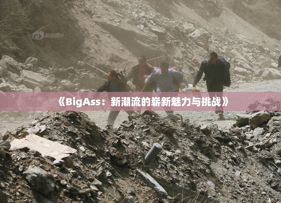 《BigAss：新潮流的崭新魅力与挑战》