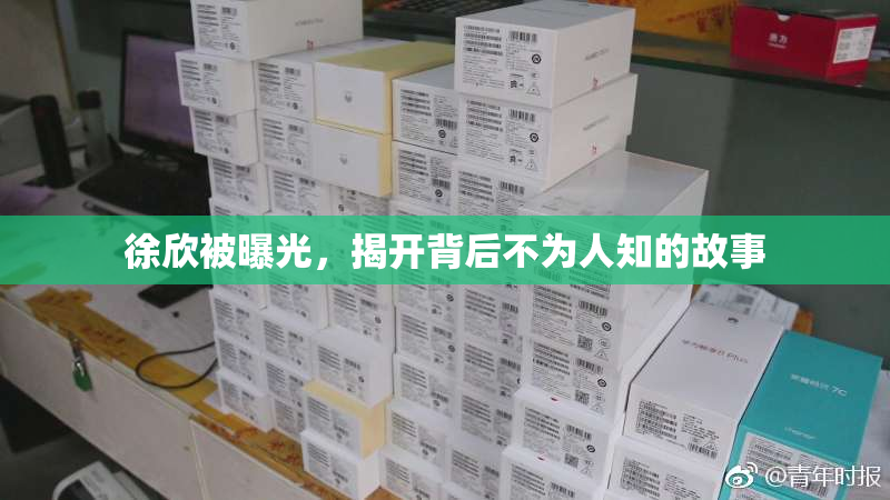 徐欣被曝光，揭开背后不为人知的故事