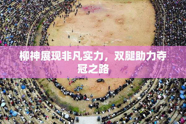 柳神展现非凡实力，双腿助力夺冠之路