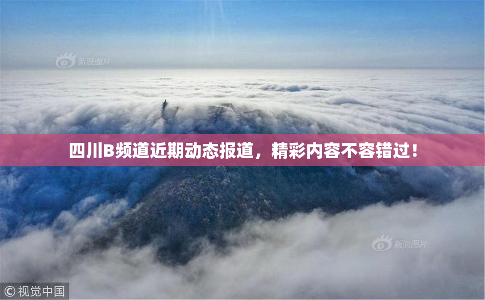 四川B频道近期动态报道，精彩内容不容错过！