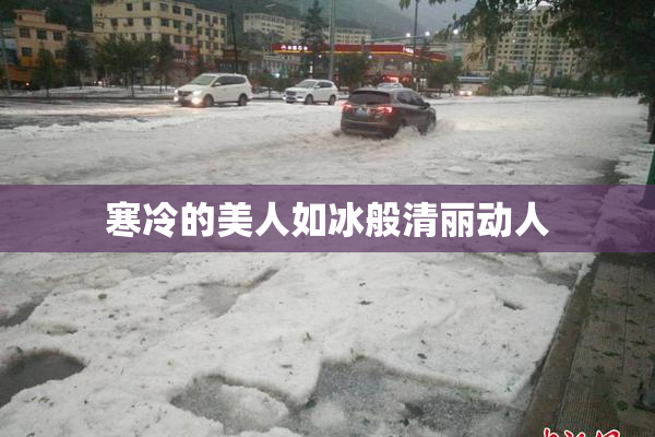 寒冷的美人如冰般清丽动人