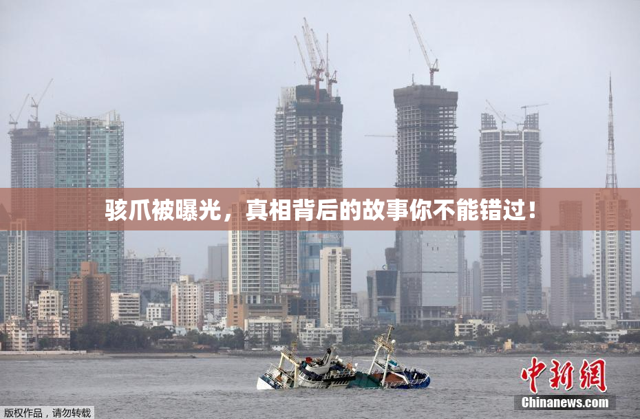 骇爪被曝光，真相背后的故事你不能错过！
