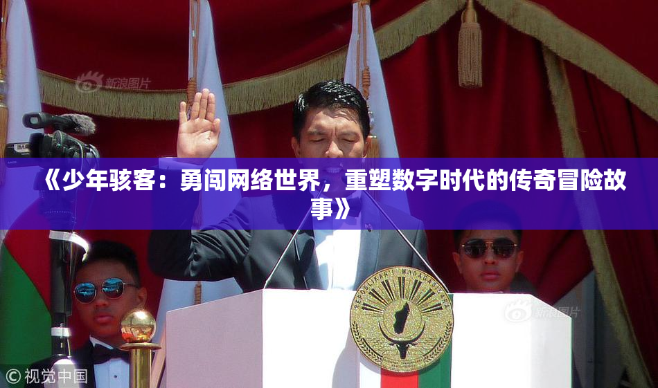《少年骇客：勇闯网络世界，重塑数字时代的传奇冒险故事》