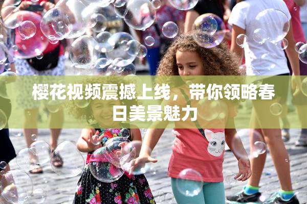 樱花视频震撼上线，带你领略春日美景魅力