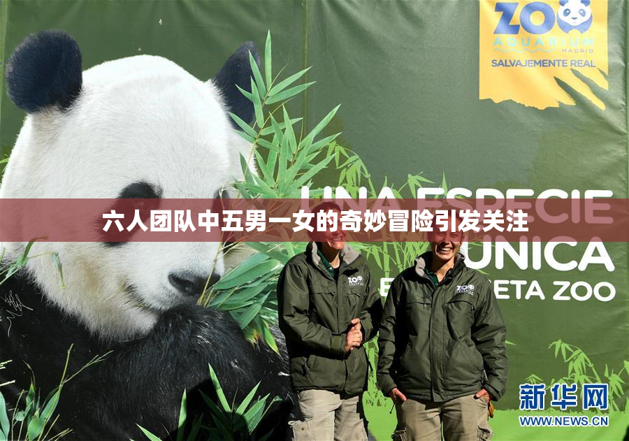 六人团队中五男一女的奇妙冒险引发关注