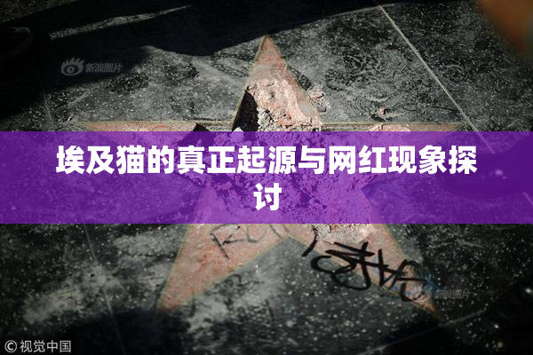 埃及猫的真正起源与网红现象探讨