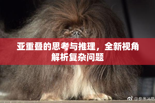 亚重叠的思考与推理，全新视角解析复杂问题