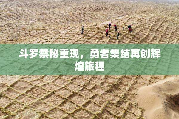 斗罗禁秘重现，勇者集结再创辉煌旅程