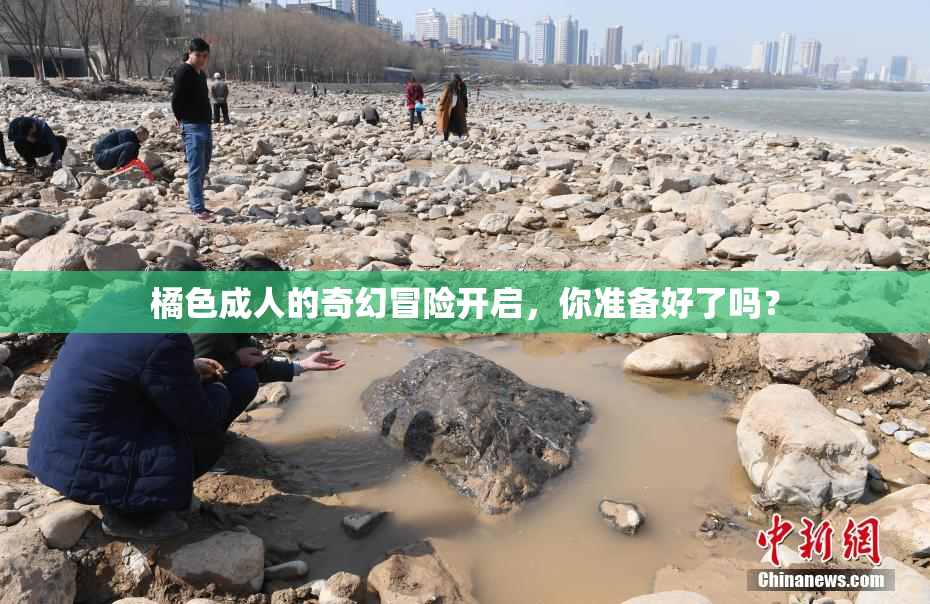 橘色成人的奇幻冒险开启，你准备好了吗？