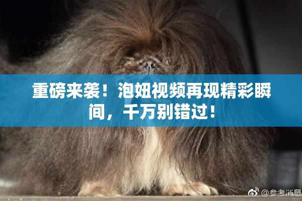 重磅来袭！泡妞视频再现精彩瞬间，千万别错过！