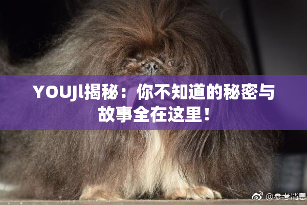 YOUJl揭秘：你不知道的秘密与故事全在这里！