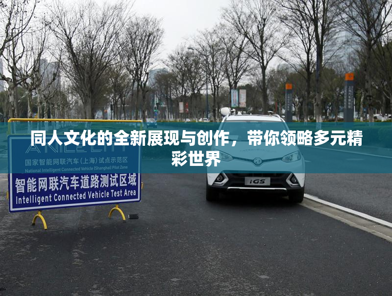同人文化的全新展现与创作，带你领略多元精彩世界