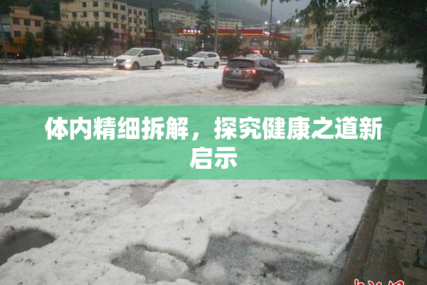 体内精细拆解，探究健康之道新启示