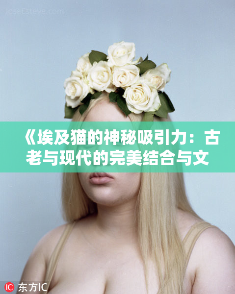 《埃及猫的神秘吸引力：古老与现代的完美结合与文化象征》