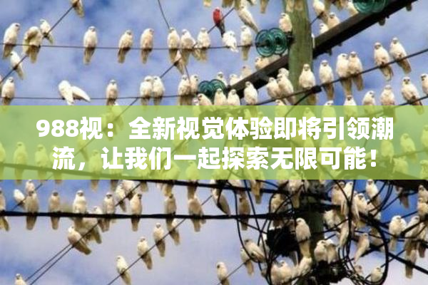 988视：全新视觉体验即将引领潮流，让我们一起探索无限可能！