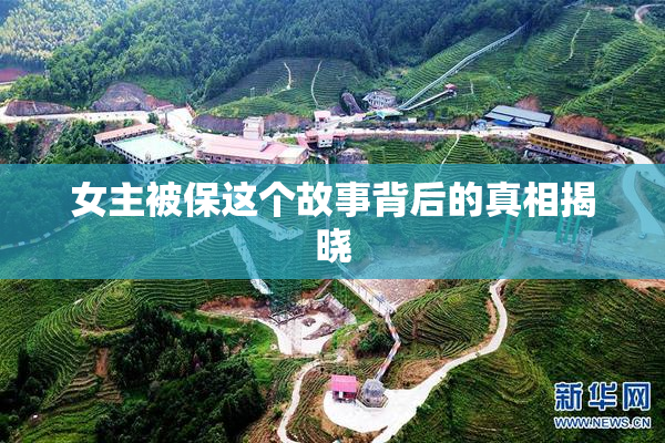 女主被保这个故事背后的真相揭晓