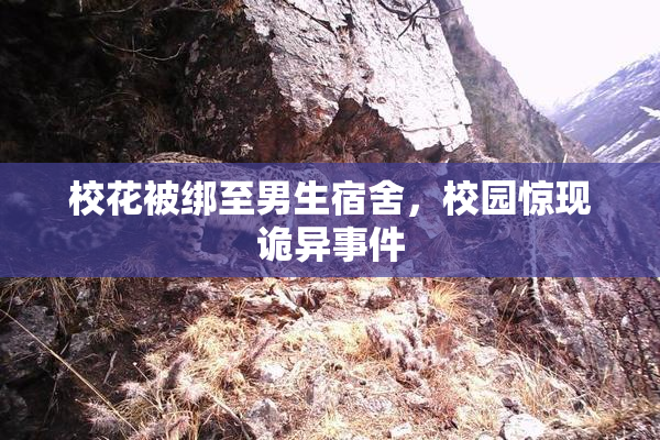校花被绑至男生宿舍，校园惊现诡异事件