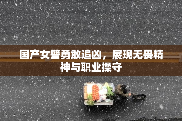 国产女警勇敢追凶，展现无畏精神与职业操守