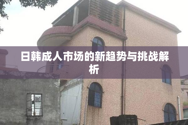 日韩成人市场的新趋势与挑战解析