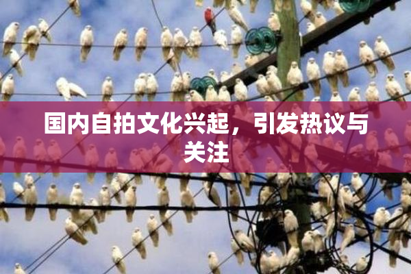 国内自拍文化兴起，引发热议与关注