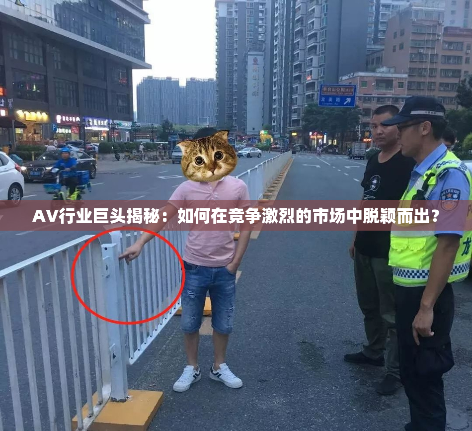 AV行业巨头揭秘：如何在竞争激烈的市场中脱颖而出？