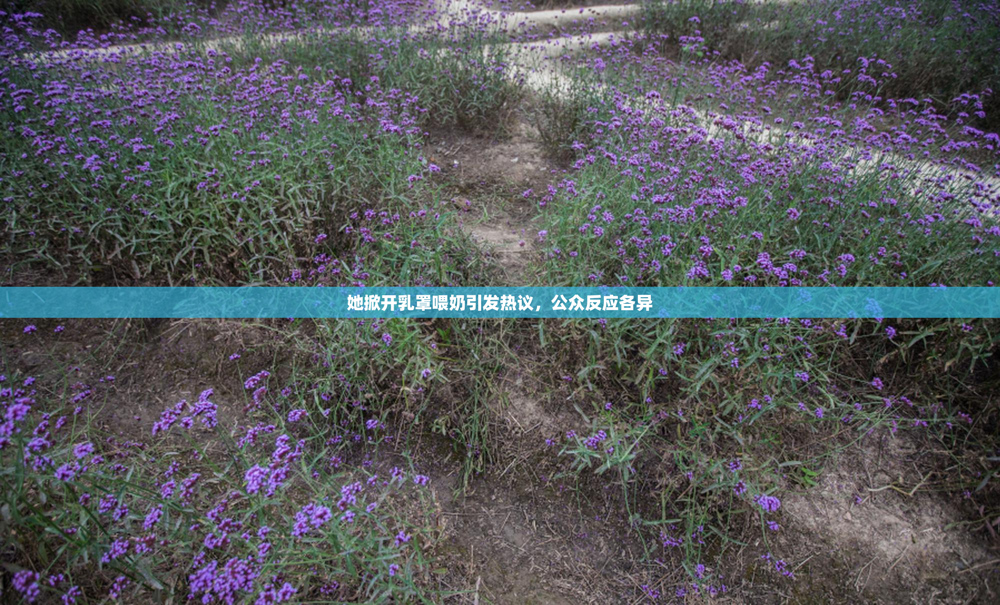 她掀开乳罩喂奶引发热议，公众反应各异
