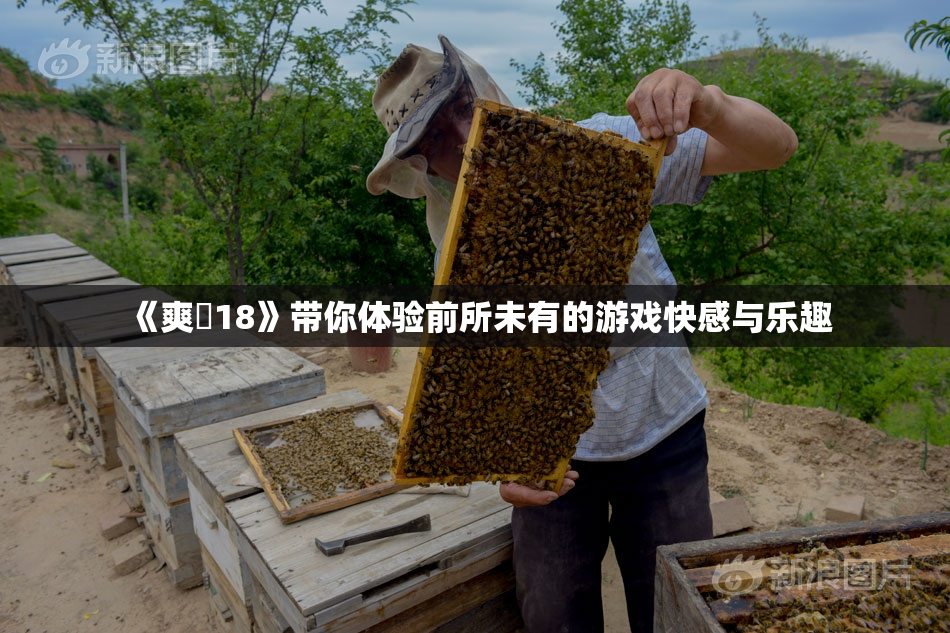 《爽擼18》带你体验前所未有的游戏快感与乐趣