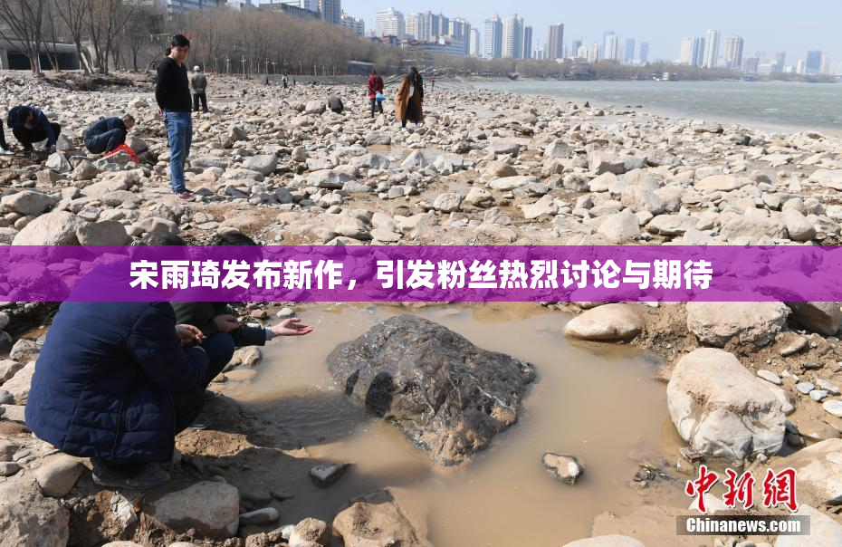 宋雨琦发布新作，引发粉丝热烈讨论与期待