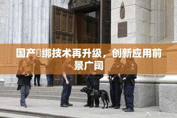国产梱绑技术再升级，创新应用前景广阔