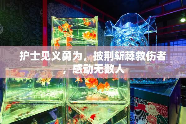 护士见义勇为，披荆斩棘救伤者，感动无数人