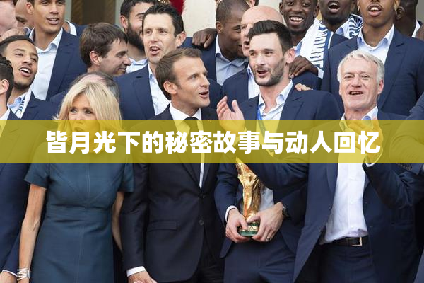 皆月光下的秘密故事与动人回忆