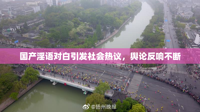 国产淫语对白引发社会热议，舆论反响不断