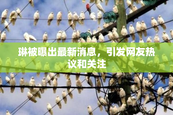 琳被曝出最新消息，引发网友热议和关注