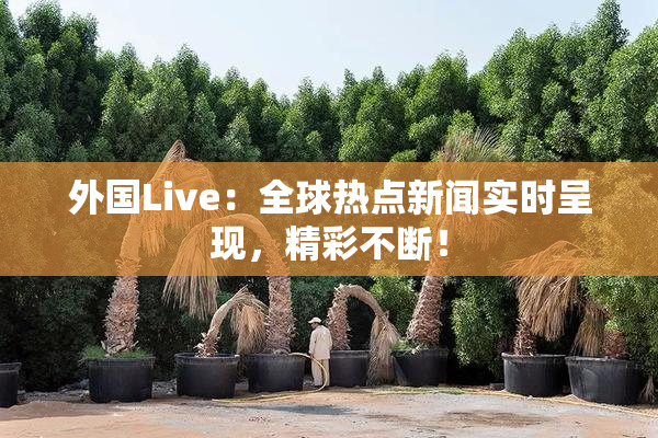 外国Live：全球热点新闻实时呈现，精彩不断！