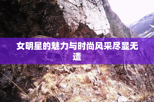 女明星的魅力与时尚风采尽显无遗