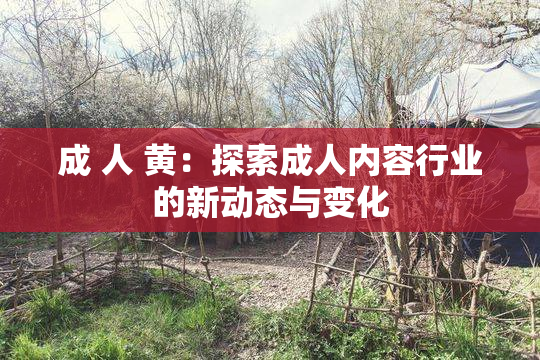 成 人 黄：探索成人内容行业的新动态与变化