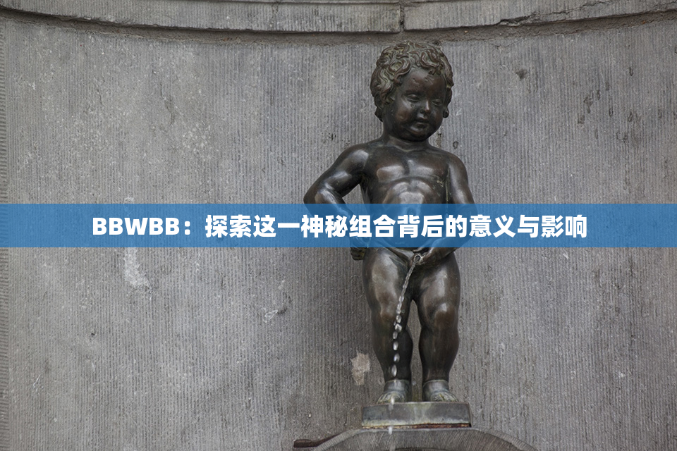BBWBB：探索这一神秘组合背后的意义与影响